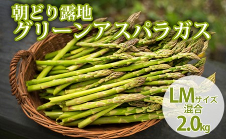 北海道 富良野市産 アスパラ 緑 (LMサイズ混合) 約2kg 朝どり 露地 グリーン アスパラガス 詰め合わせ 野菜 新鮮 数量限定 先着順