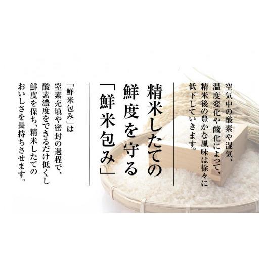 ふるさと納税 新潟県 雪温精法　新潟県産つきあかり　2kg×2袋