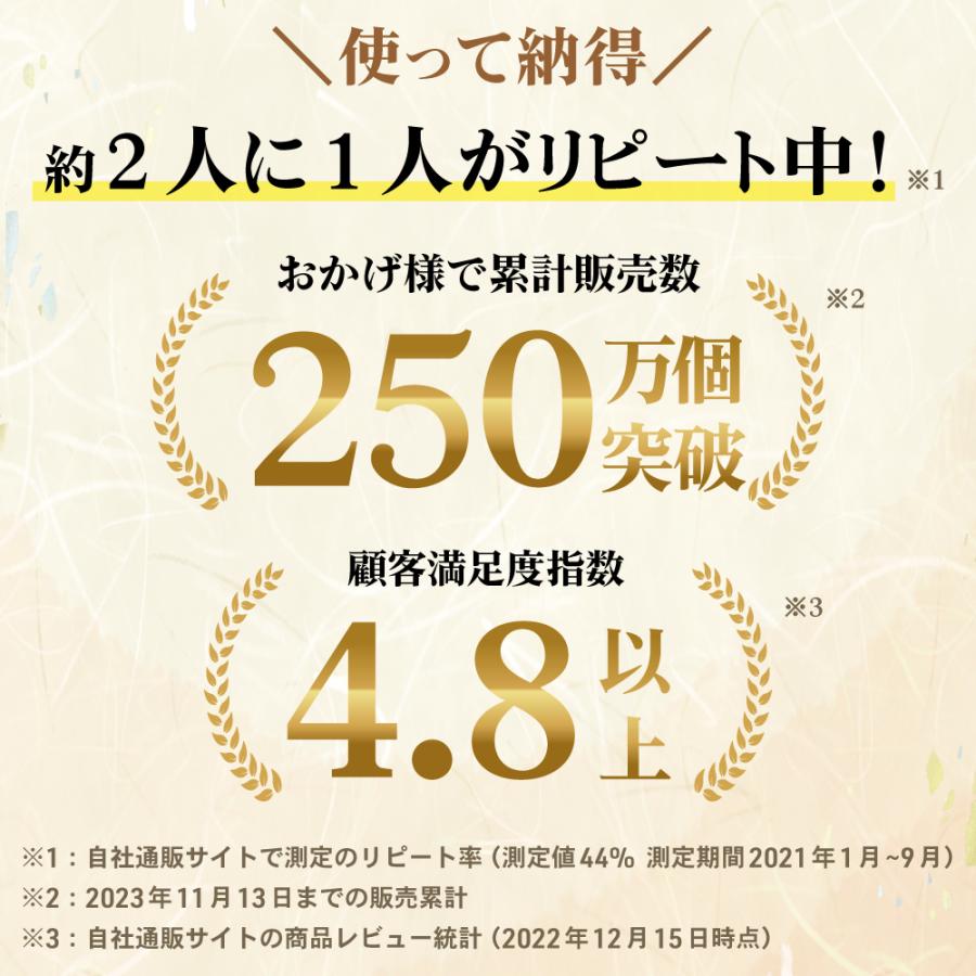 だしパック 日高見屋 人は登米のだし国産 出汁大容量8.8g×50袋×5個 レシピ付き