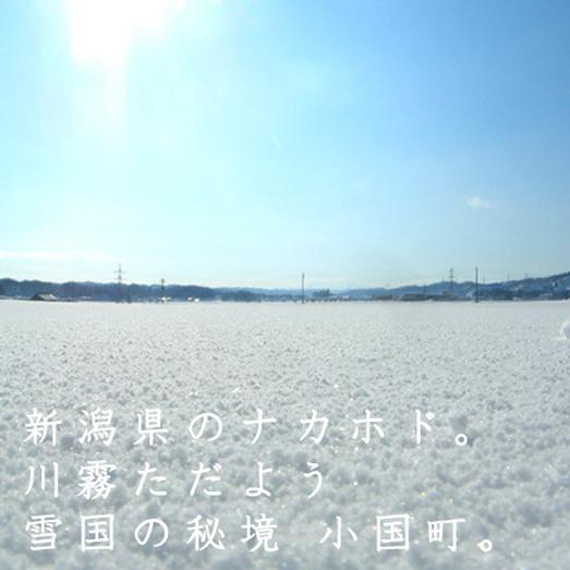 [新米 令和5年産] 小国横沢産コシヒカリ 特別栽培米 2kg (2kg×1袋) 刈羽小国 白米 新潟米 お米 新潟県産 こしひかり 送料無料 ギフト対応