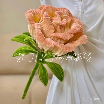 臺灣出貨🔥超大扭扭棒玫瑰花手工花束diy永生玫瑰材料包送女友閨蜜生日禮物