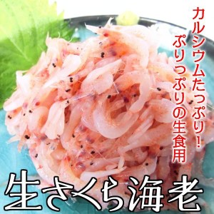 桜海老 さくらえび 桜えび サクラエビ 生さくら海老　お刺身用　500g　桜えび　さくらえび　桜海老（特送）・生さくら海老５