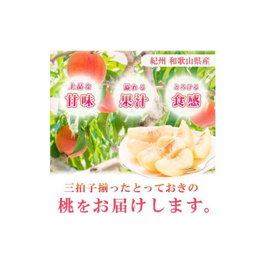 ふるさと納税 和歌山県 北山村 紀州和歌山産の桃　１５玉　化粧箱入 ※2024年6月中旬頃〜8月中旬頃順次発送（お届け日指定不可）