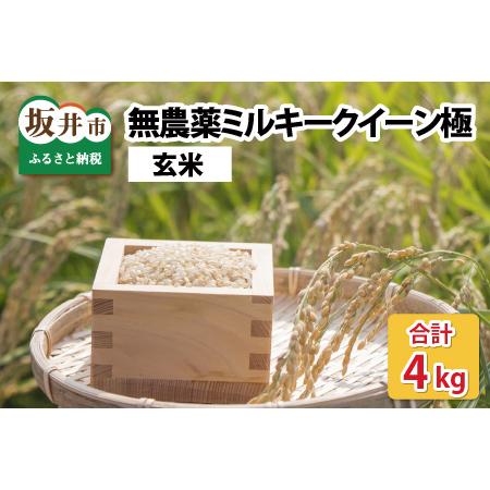 ふるさと納税 お米の女王！無農薬ミルキークイーン極 4kg(2kg×2袋)（玄米）【2023年10月上旬以降順次発.. 福井県坂井市