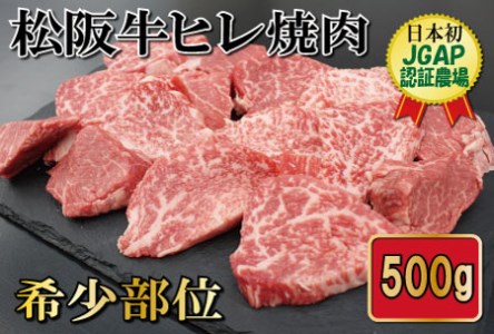 S10　松阪牛ヒレ焼肉用500g