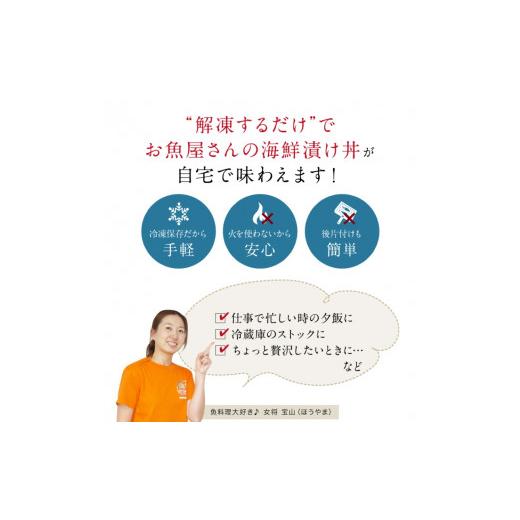 ふるさと納税 福井県 福井市 海鮮漬け イカ 120g×2パック（2〜4食分）[A-088011]