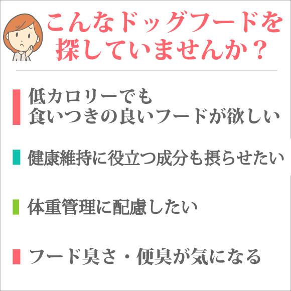 ドッグフード 国産 銀座ダックスダックス ラムライス 3kg(1kg×3袋) 全