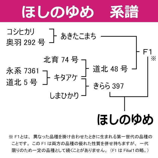 北海道産 ほしのゆめ　米5kg　白米　令和5年産　北海道米　真空パック対応　送料無料　お米 5kg 米　お米