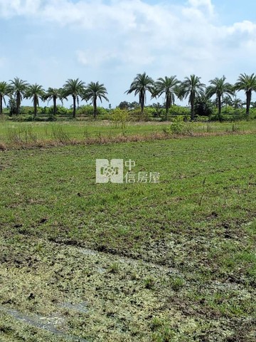 31036(專)將軍方正便宜農地｜台南市將軍區西進段