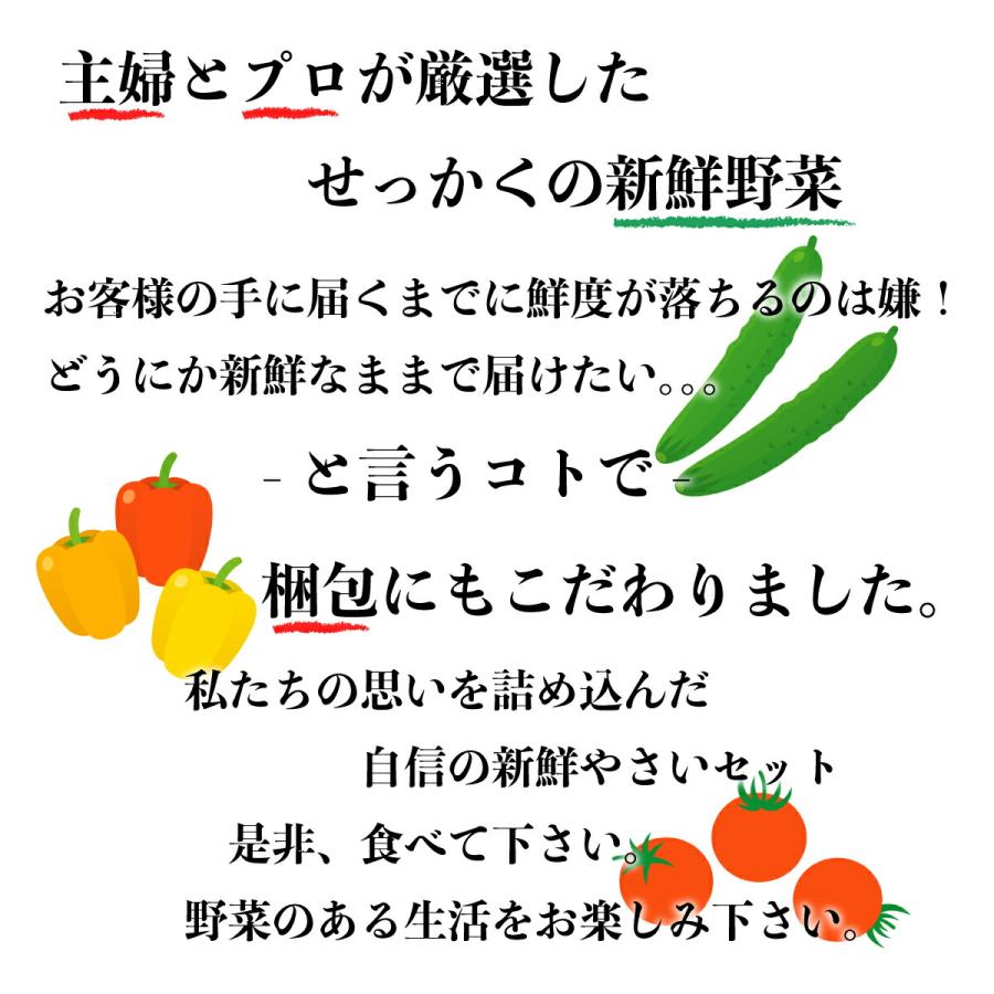 新鮮 野菜セット　九州産10品 おまけのお野菜5〜7品 野菜詰め合わせ 九州の市場から新鮮野菜をお届けします。お試し