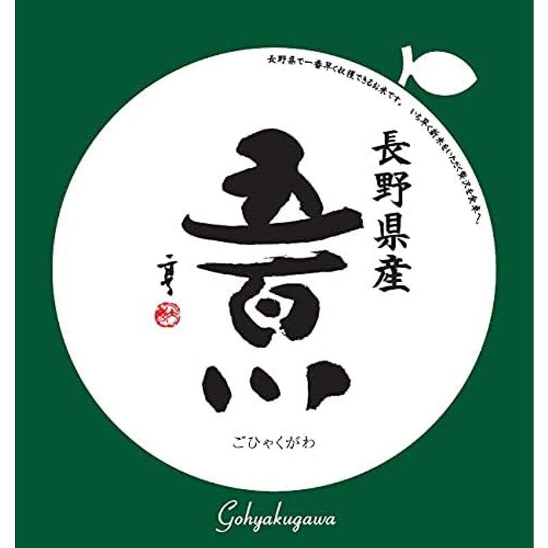 精米長野県上伊那産 無洗米(袋再利用) 白米 長野県で一番早くて旨い 五百川 10kg(長期保存包装)x2袋 令和4年産 新米