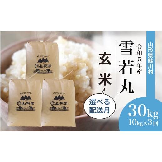 令和5年産 雪若丸  定期便 30kg（10kg×1カ月ごと3回お届け）＜配送時期指定可＞ 山形県 鮭川村