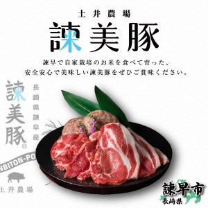 『定期便』_諫美豚(かんびとん)おすすめバラエティセット3kg_全8回