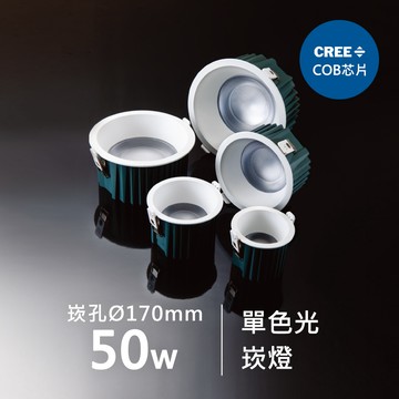 【崁入孔17公分】50W崁燈｜F05-CT-61165