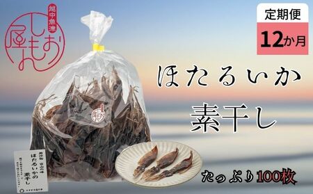 ほたるいか 素干し 100枚  おつまみ 肴 ハマオカ海の幸