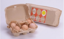 龍神コッコの小さなたまご10個入り×3パック   和歌山 田辺市 卵 たまご 鶏卵 平飼い 卵かけごはん