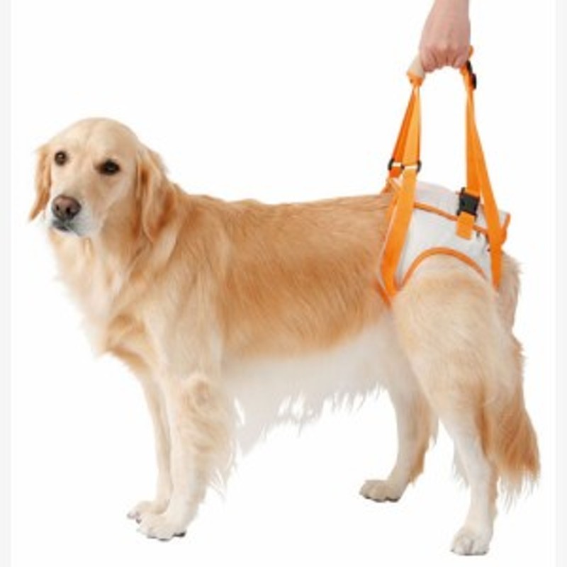 ペティオ Zuttone ずっとね 老犬介護用 歩行補助ハーネス 後足用k 3l 胴輪 ハーネス 生地 布 犬 介護期 大型犬 ゴールデンレトリーバー 通販 Lineポイント最大1 0 Get Lineショッピング