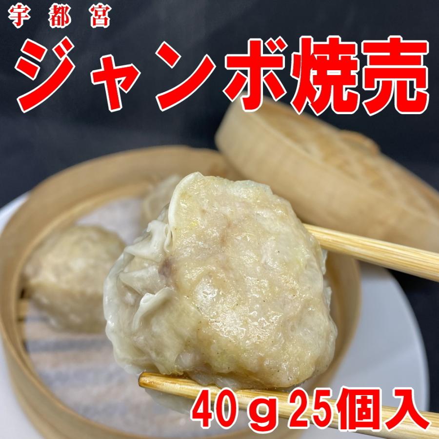 送料無料 冷凍餃子 宇都宮AQ餃子肉焼売セット  宇都宮 餃子 ぎょうざ ギョーザgyouza 餃子焼売セット シュウマイ シューマイ