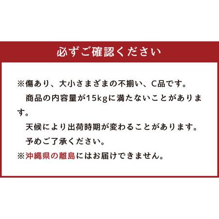 ふるさと納税 農家の休憩デコ 訳あり（C品 15kg） 熊本県水俣市