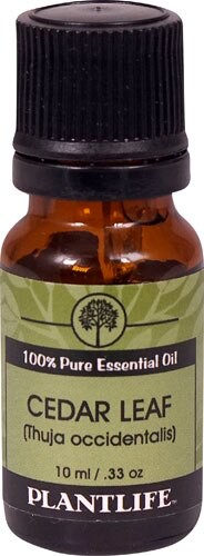 Plantlife 100% Pure Essential Oil Cedar Leaf 0.33 fl oz