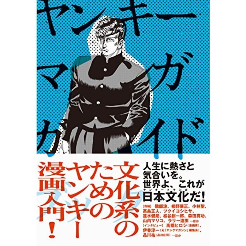 ヤンキーマンガガイドブック (文化系のためのヤンキーマンガ入門)