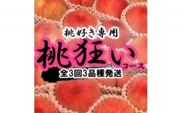 ＜2024年先行予約＞山梨県笛吹市産 桃狂い 約1kg×3回発送 105-010