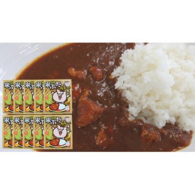 ふるさと納税 行方市 行方の米ぶたカレー(中辛)10個　CU-14