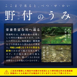  希少な新物いくら！計500g  漁協 直送！本場「北海道」（ いくら イクラ 鮭卵 醤油漬け いくら醤油漬け イクラ醤油漬け 北海道 人気 ふるさと納税 ）