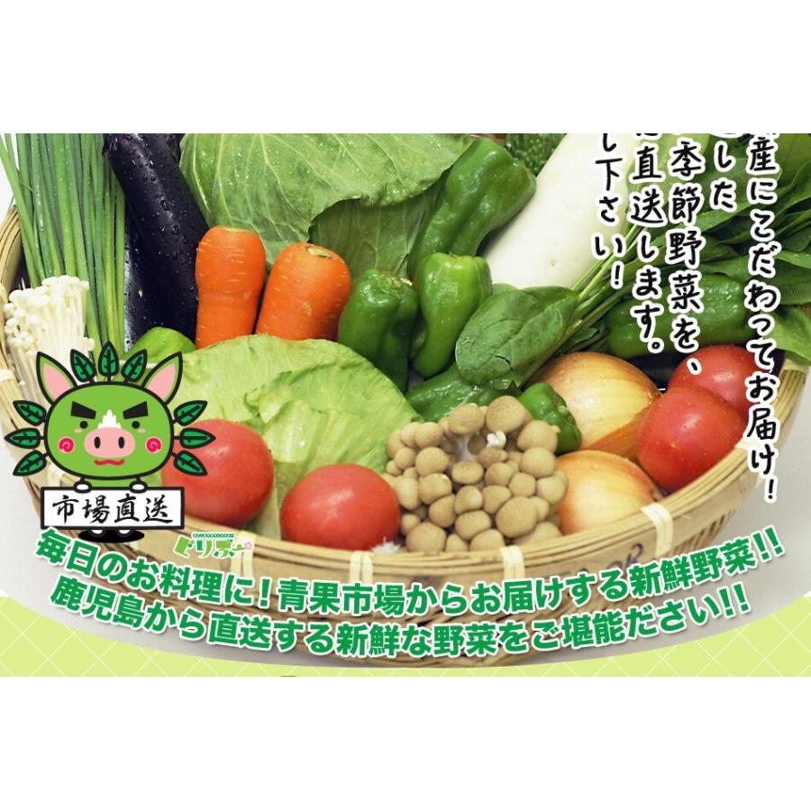 野菜セット 九州産 12品目 詰め合わせ 国産 お試し