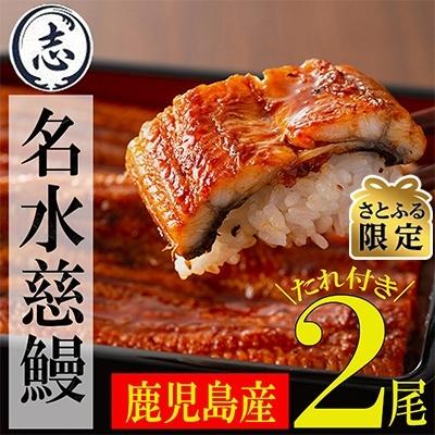 ふるさと納税 うなぎ 志布志市 鹿児島県産 うなぎ蒲焼 名水慈鰻2尾(合計320g〜370g)