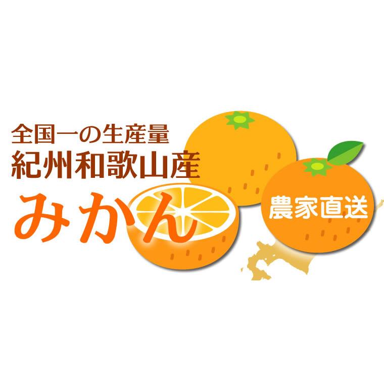 みかん 訳あり 小玉 5kg 送料無料 和歌山 ご自宅用 箱買い