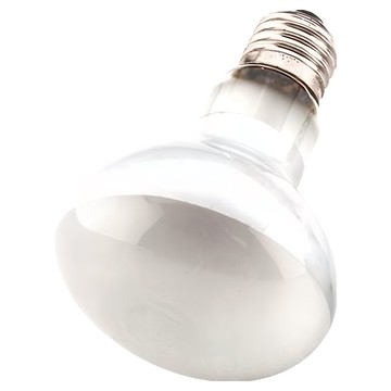 OTTO 建興水族 奧圖 75W爬蟲聚熱燈泡  提供UVA光波  提升環境溫度  E27  1個