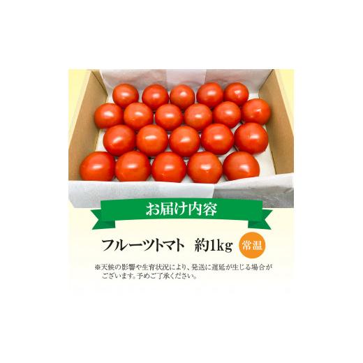ふるさと納税 香川県 高松市 フルーツトマト　約1kg