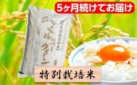 特別栽培米★[定期便] 5カ月★毎月 精米10kg（白米 7分 5分ツキ可）　玄米は別に出品