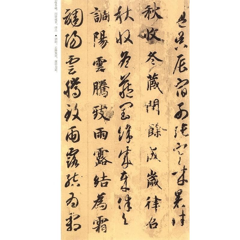 智永真草千字文　高校書法専門碑帖精選系列　中国語書道 智永真草千字文　高校#20070;法#19987;#19994;碑帖精#36873;系列