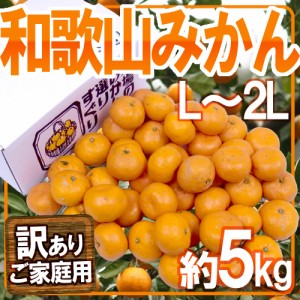 ”和歌山みかん” 訳あり L～2Lサイズ 約5kg 送料無料