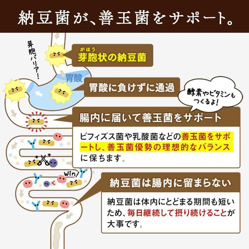 こな納豆   通常納豆菌が生きているひとさじでバランス栄養食に 粉納豆（国産 納豆粉末100%・完全無添加 納豆パウダー）(50g ボトル)