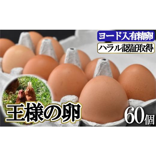 ふるさと納税 茨城県 牛久市 王様の卵 ヨード入 60個 平飼い 地鶏 有精卵 濃厚 卵 こだわり卵 たまご