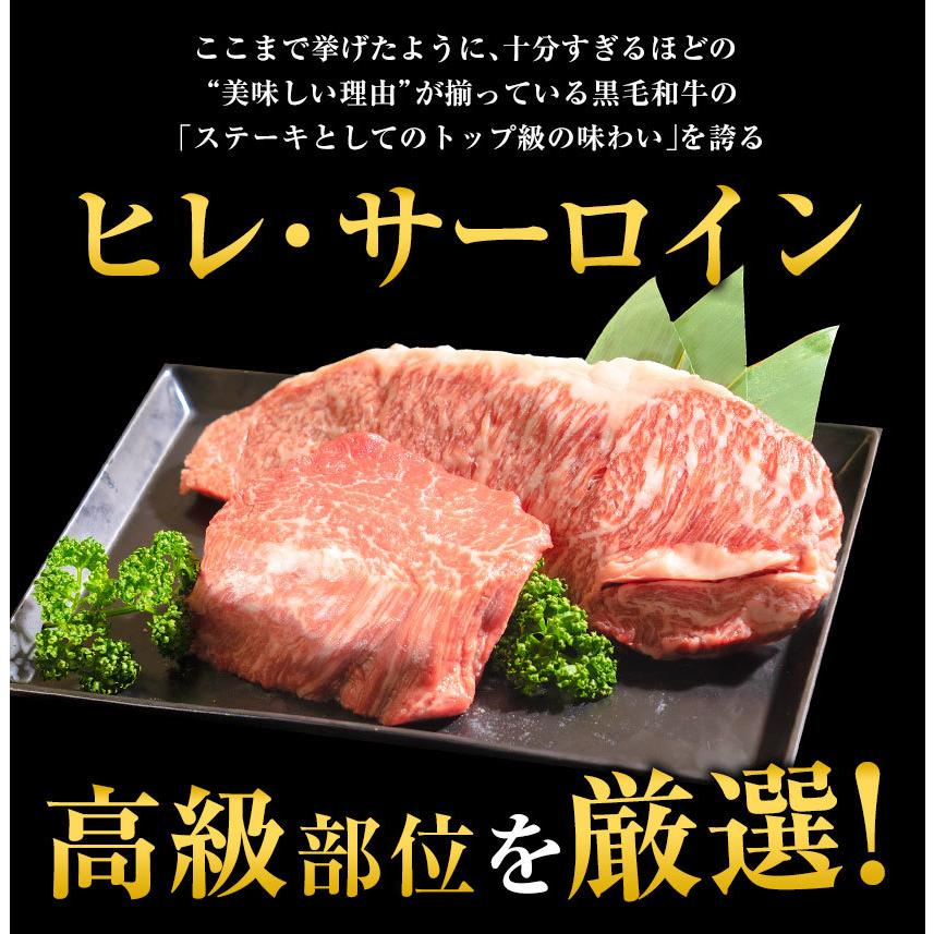 黒毛和牛 サーロイン ヒレ ステーキ 2枚セット 450g 送料無料 九州産  300g  国産 ステーキ ヒレ肉 和牛 7-14営業日以内に出荷予定(土日祝除)