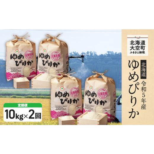 ふるさと納税 北海道 大空町 特別栽培米北海道産ゆめぴりか10kg[5kg×2袋]全2回 ふるさと納税 米 白米 精米 ご飯 おにぎり 弁当 定期配…