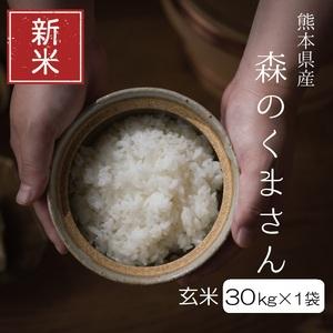 ふるさと納税 新米 令和5年産 森のくまさん 玄米30kg（30kg×1袋） 熊本県和水町