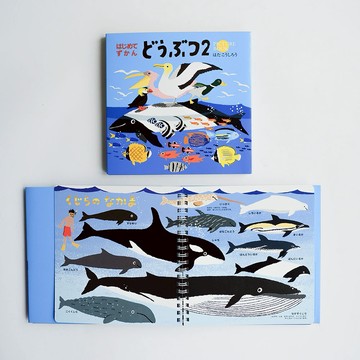 【OOYII吾憶】日本製KOKUYO 初次見面！海洋動物圖鑑 （附中文翻譯）｜寶寶禮物、生日禮物｜【快速出貨】