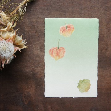 和紙明信片【鬼燈】