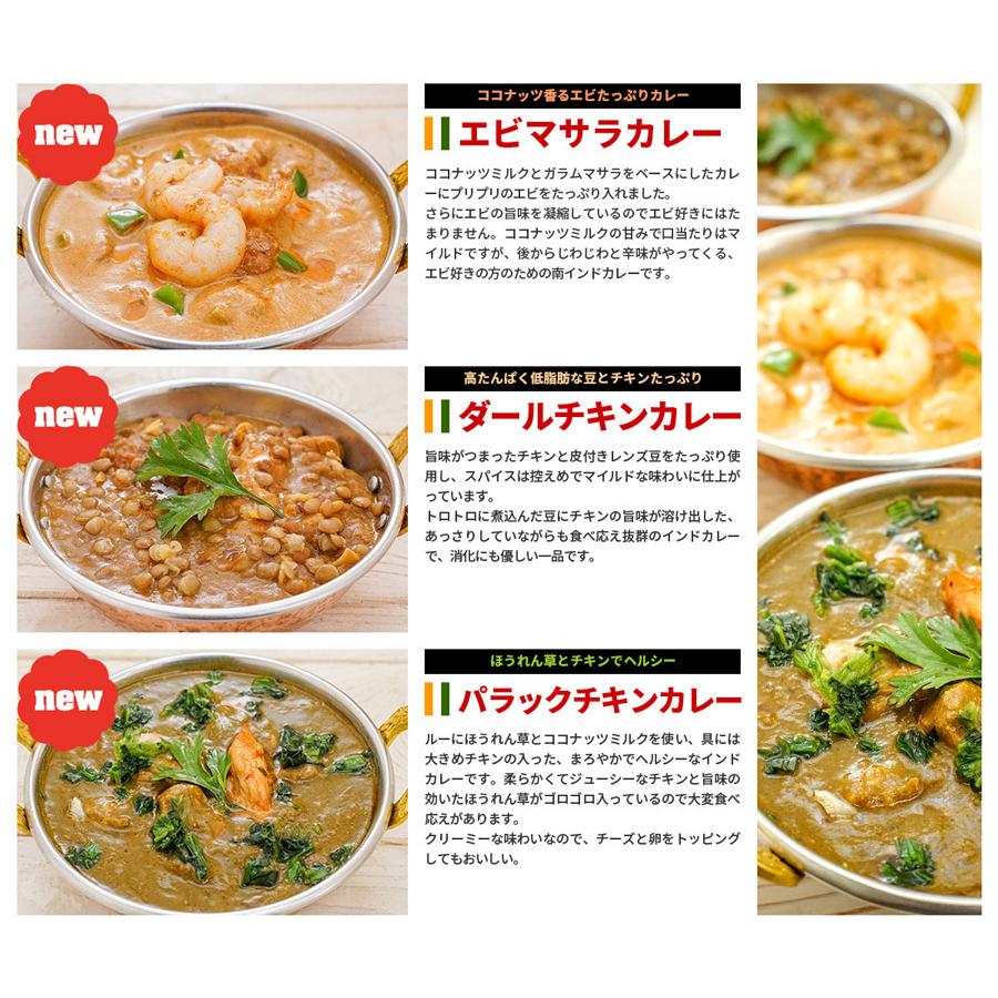 カレー 9種類から選べるインドカレー6食セット 熨斗対応≪パッケージ版≫ 180g×6個 送料無料