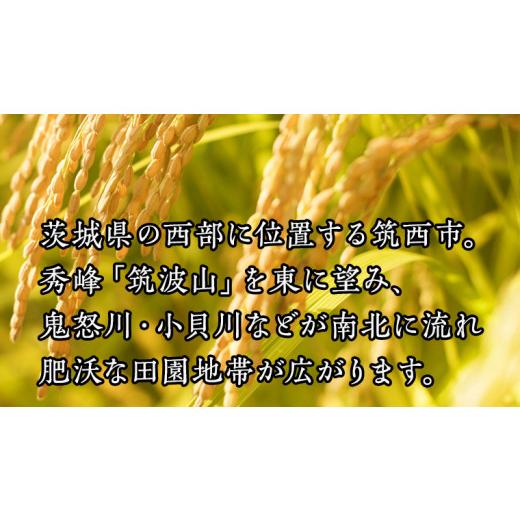 ふるさと納税 茨城県 筑西市  茨城県筑西市産 コシヒカリ5kg 米 コメ こしひかり 定期便3回 15kg 茨…