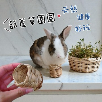 店長強推👍哈密兔事·葫蘆草圈圈⭕️片片｜兔子草食玩具 龍貓零食天竺鼠零食兔零食兔牧草倉鼠零食