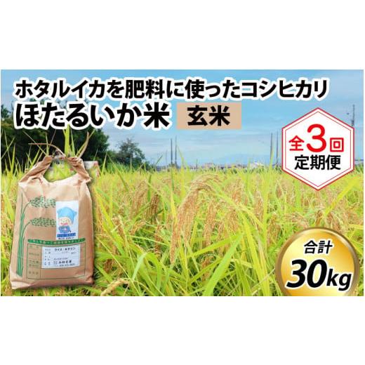 ふるさと納税 富山県 滑川市 ほたるいか米（玄米10kg）×3回 計30kg