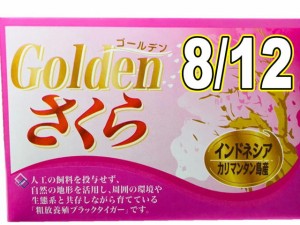 海老・ブラックタイガー海老 1枚 (1.8kg) 12  ブランド  業務用、一般の方にも