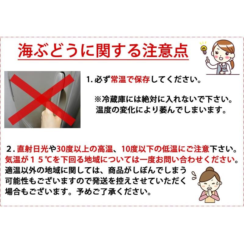 海ぶどう 120g×6箱 グローアップコーポレーションF 海洋深層水使用 海藻 うみぶどう 沖縄 土産 定番 人気