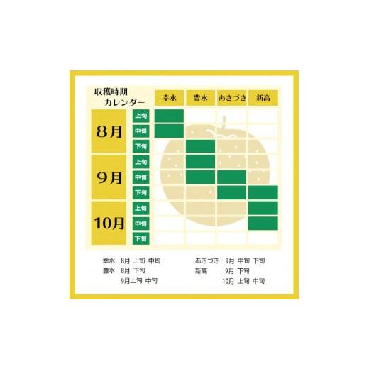 ふるさと納税 栃木県 真岡市 真岡市産 豊水 5kg 真岡市 栃木県 送料無料